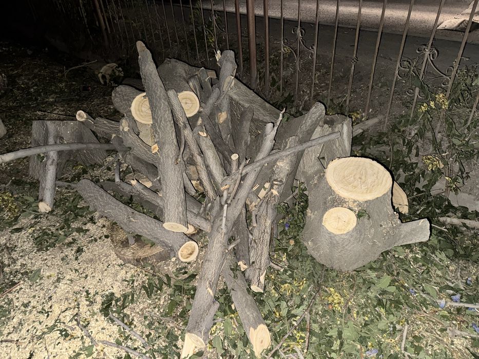 Дрова бесплатно.