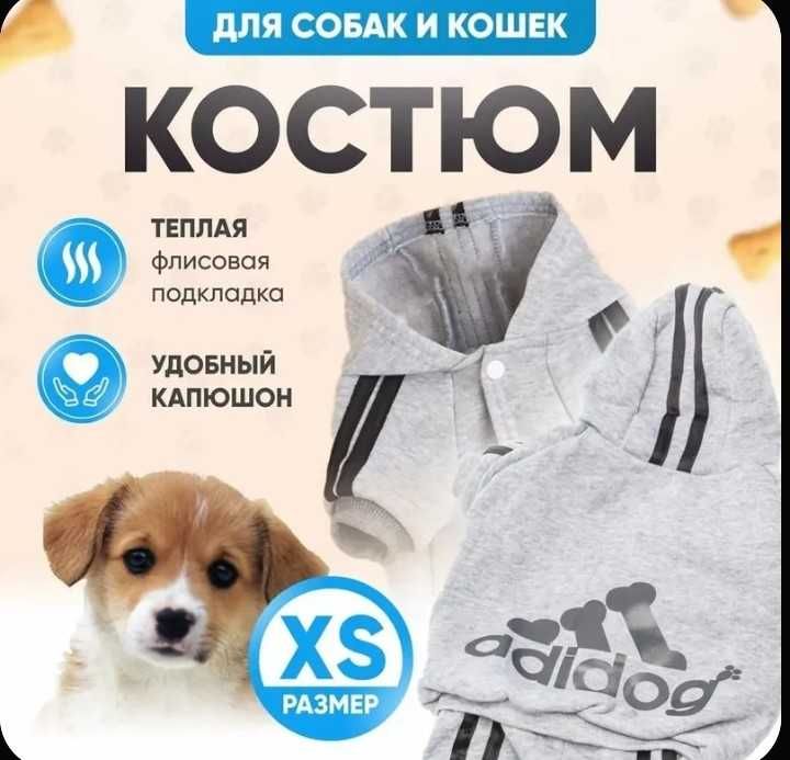 Одежда для собак