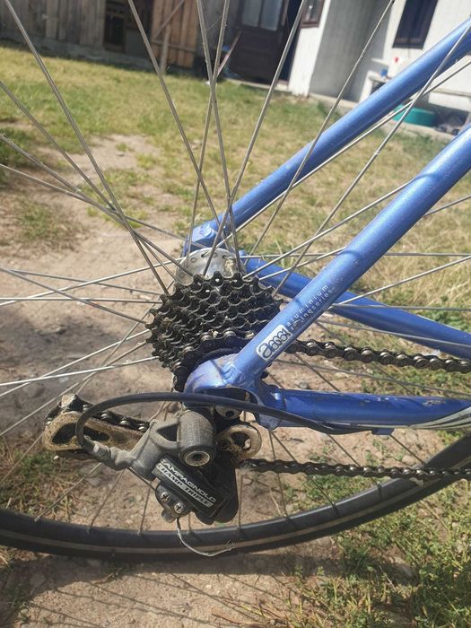 Cursiera campagnolo ambrosio
