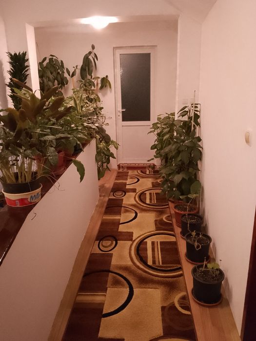 Închiriez camera Timișoara