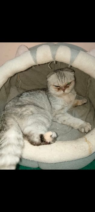 Девочка 7 месяцев