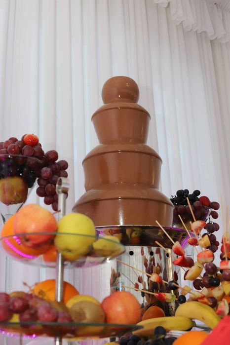 Fantana de ciocolata si bar fucte