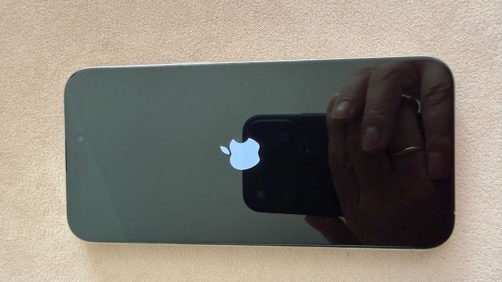 iPhone 15 ProMax 256 Titanium Natural