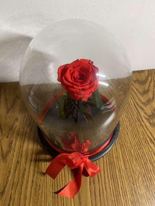 Trandafir criogenizat