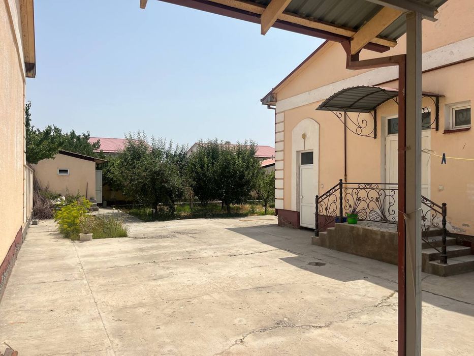 Kotej sotiladi 6-sotuqlik Jomboy tumani Samarqand mahalla