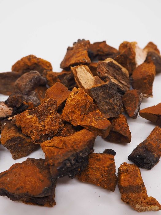 Чага березовая!!