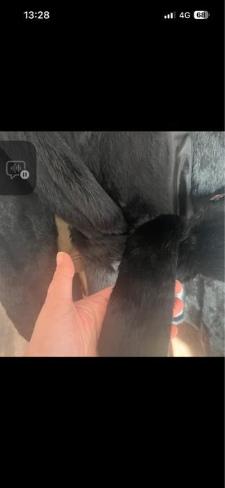 Blana iepure marimea L