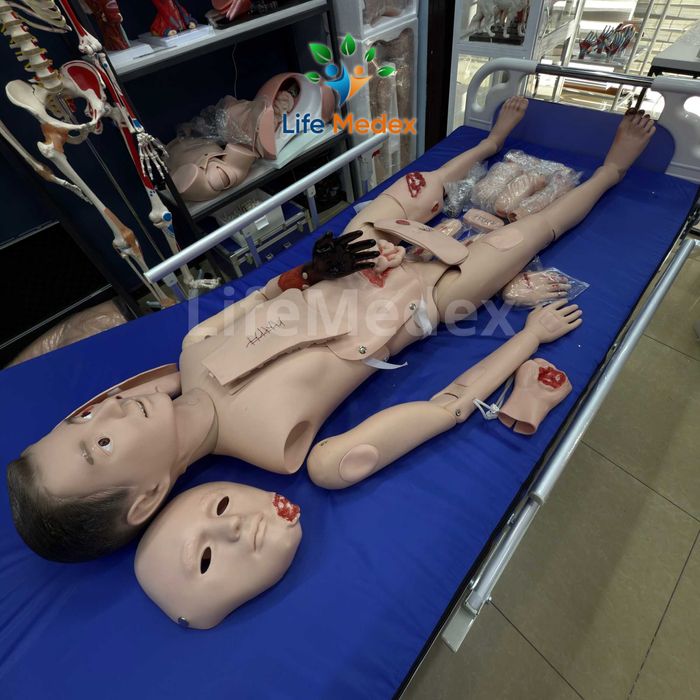 Манекен Для Травм - Профессиональной Медицинской Подготовки