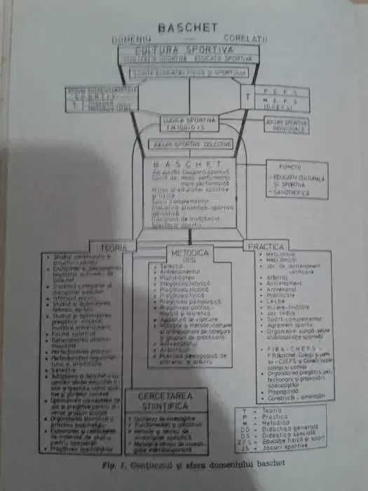 Carte Baschet an 1979