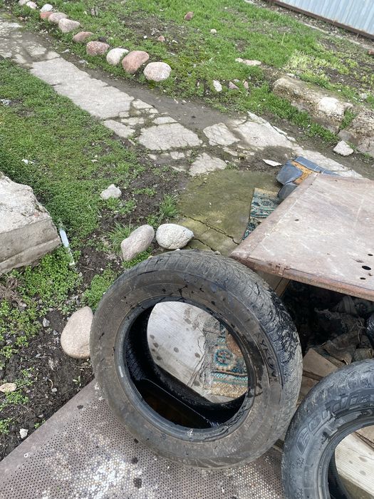 Пакришка зор 1 ай болды