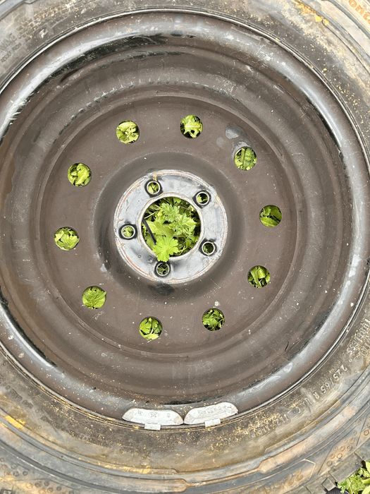 Гуми с джанти за Спринтер 225/65/16