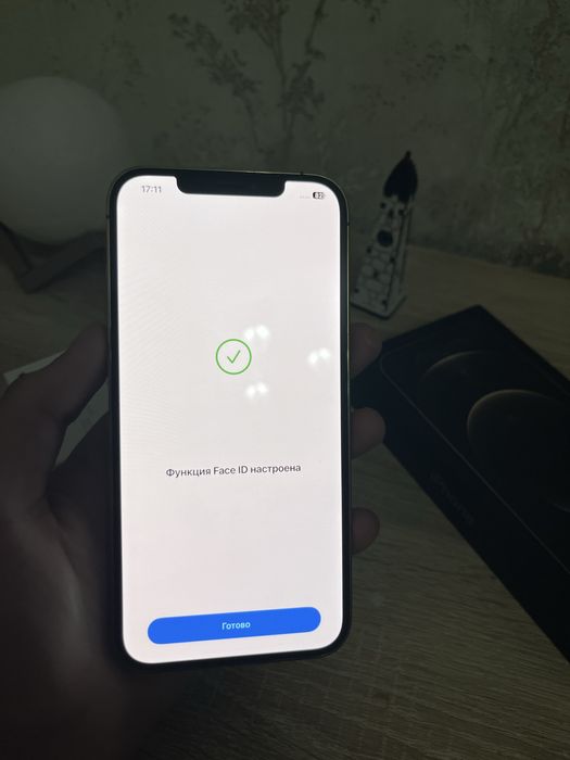Iphone 12 Pro Max 256gb Gold