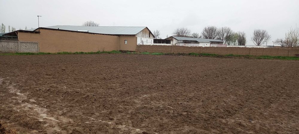 Продется бизнес тепличное хозяйство