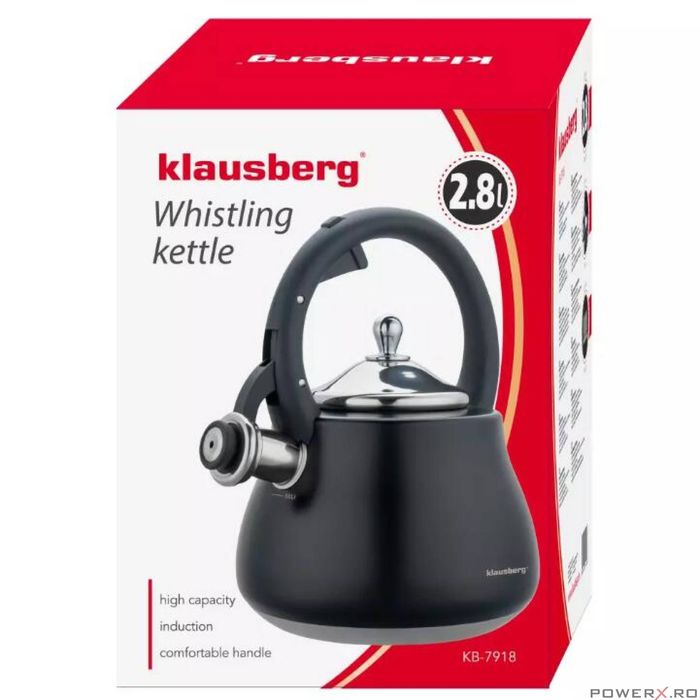 Ceainic, fierbator cu fluier, otel inoxidabil, negru cu elemente