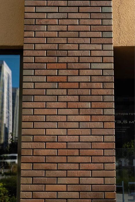 Тайга юг Марион ликолор