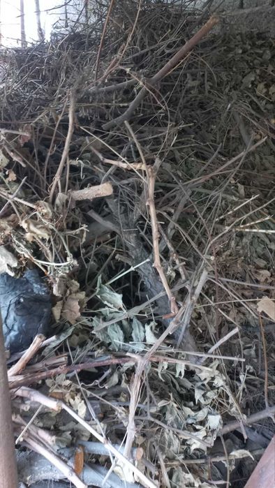 O`tin tekinga Beriladi