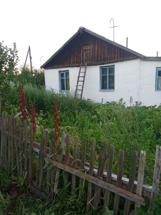 Продам дом в деревне Веселовка