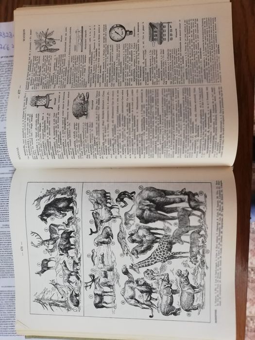 Vând dicționar explicativ