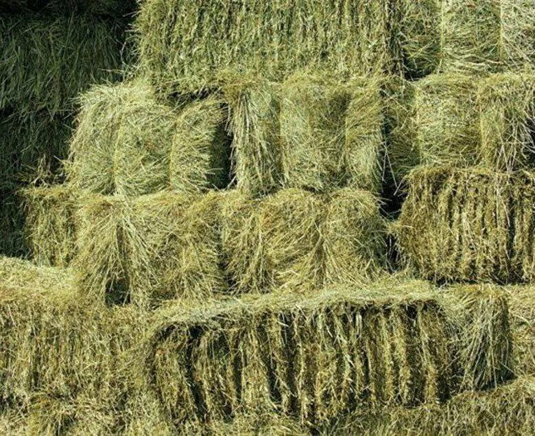 Продам тюки сено летнее зелёное