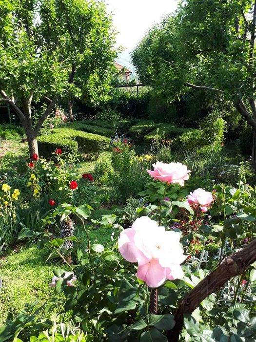 Продава се Къща в Годеч - 290 кв.м за 1363 €/кв.м - Снимка #23