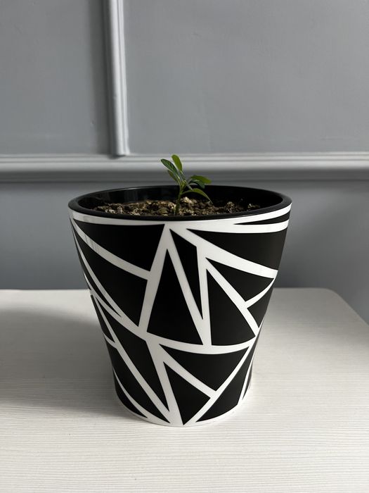 Горшки для цветов