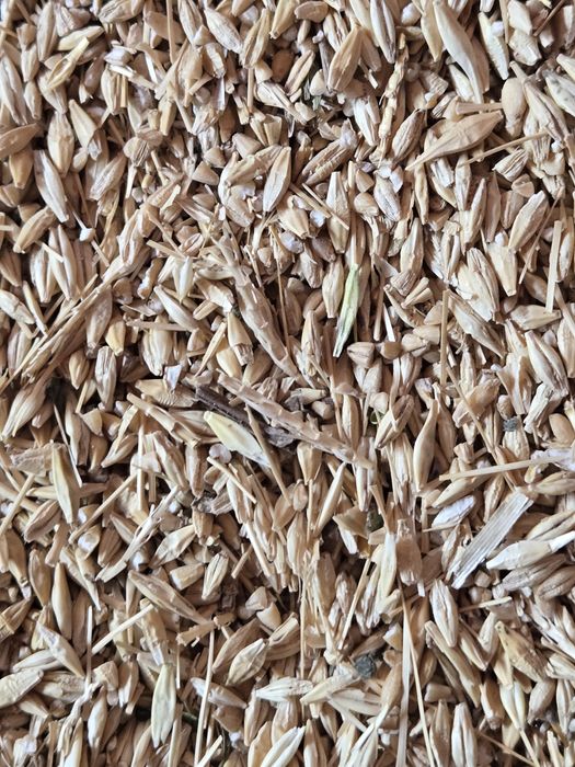 Арпа Ячмень сечка