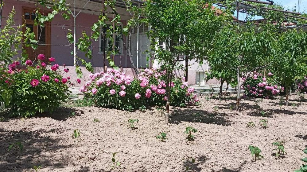 Уй сотилади 10 сотих 8 хона Пахтаобод