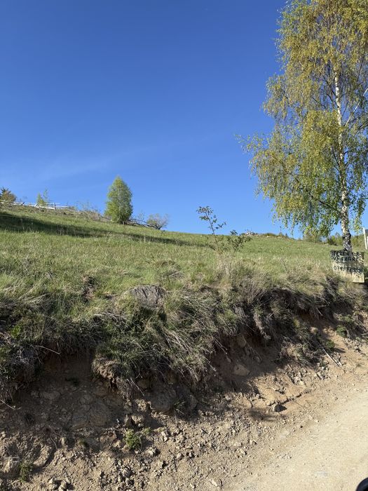 TEREN INTRAVILAN 6.000 MP | PRIVELIȘTE SUPERBĂ | ideal pentru cabane & investiții