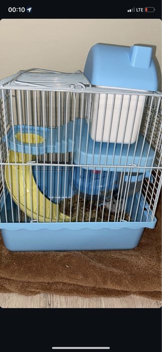 Хомяк сатылады сеткасымен