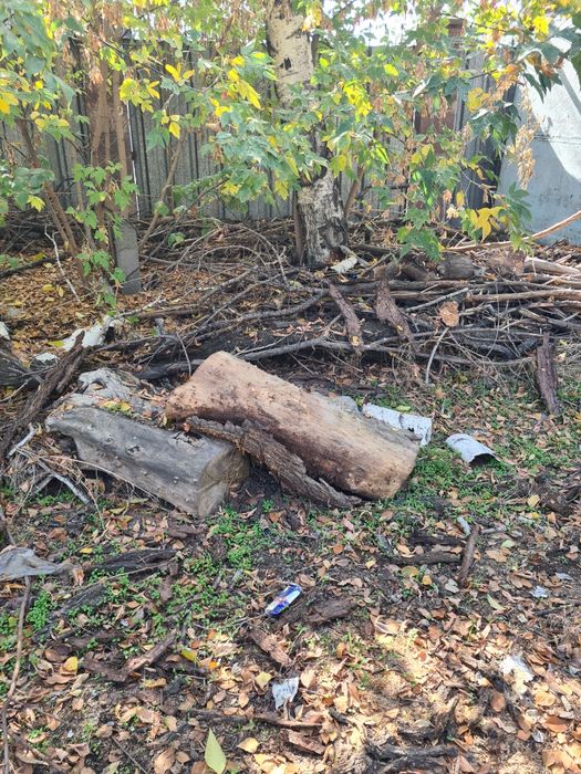 Дрова отдам бесплатно