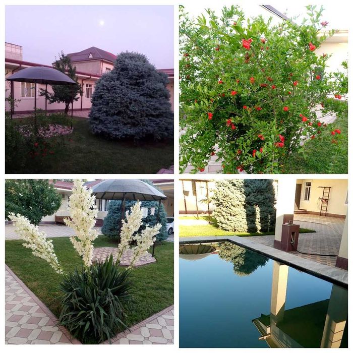 «Продается дом» 8 соток 7 комнат М.Горький Буюк Ипак Йули Дагестанская