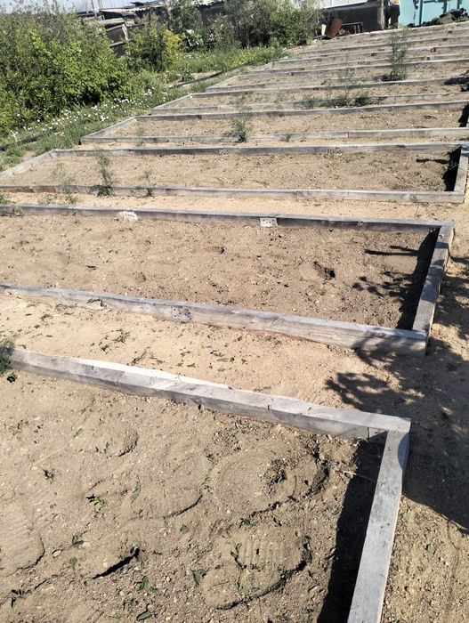 Дача на первой водоколонке