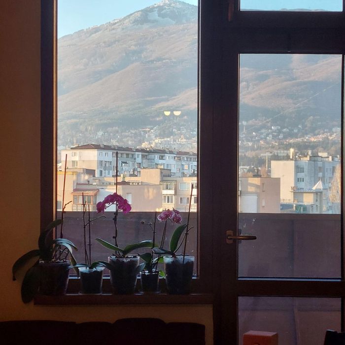 Дава се под наем Двустаен апартамент в София, Бъкстон - 60 кв.м за 611.49 € - Снимка #5