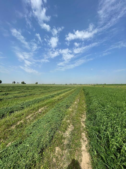 Beda pres sotiladi… Toshkent viloyati Boka tumani