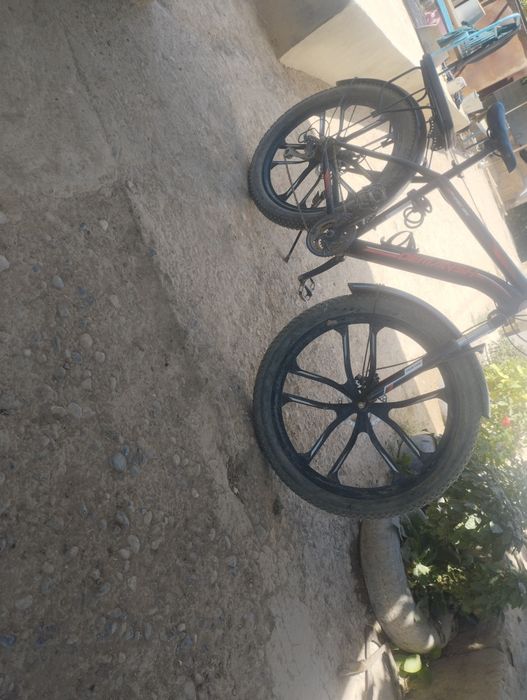 Velosiped kafolati bilan yangi