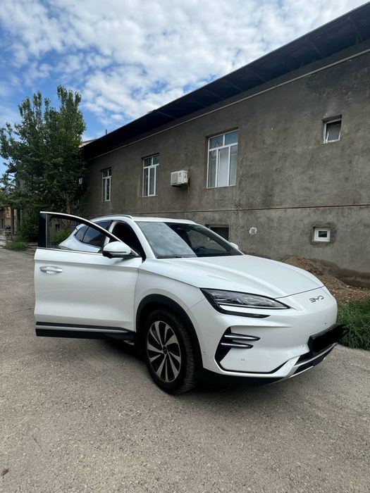 Byd Chempion 605 tali Full Sotiladi