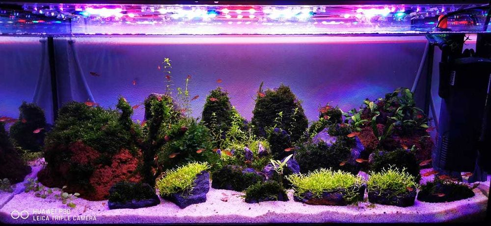 Lampa pentru acvarii plantate