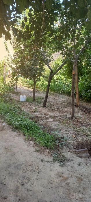 Yer sotiladi arzon narhlada 4 dan 2 bor