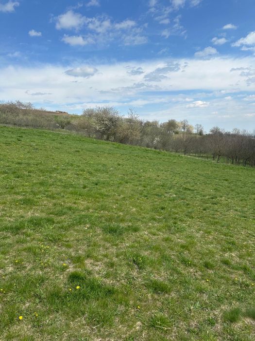 Vand teren intravilan parcela 2000 mp