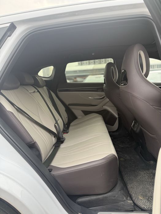 Smart BYD chempion 2024-25