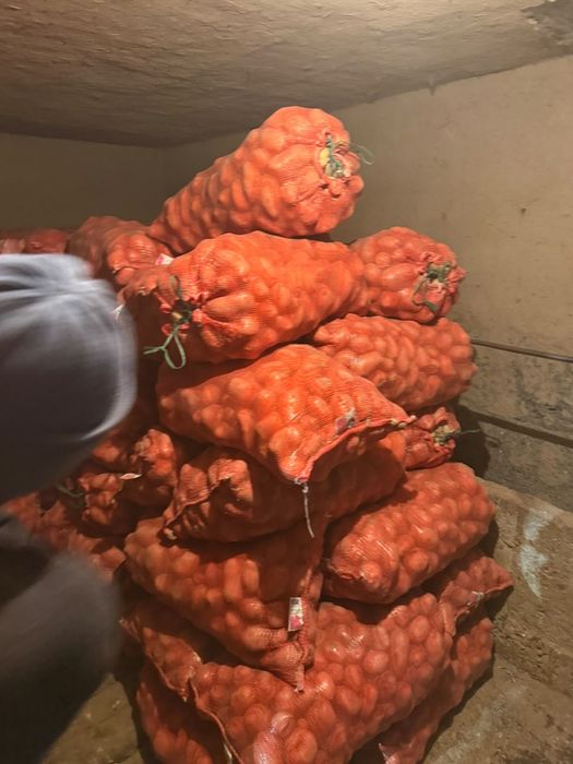 Продам картофель