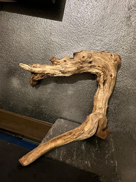 Lemne mangrove   București