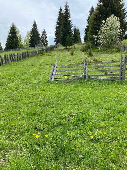 Teren de vanzare in zona de munte