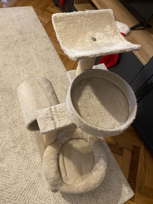 Ansamblu joaca pisica