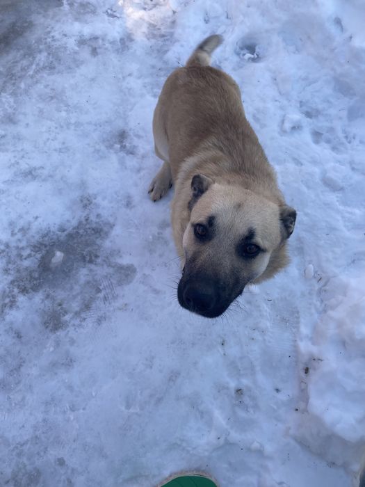 Боб ищет маму и папу