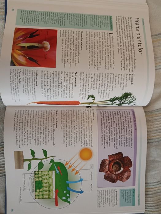 Enciclopedia lumii pentru copii