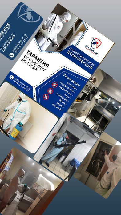 Дизинфекция помещения домов