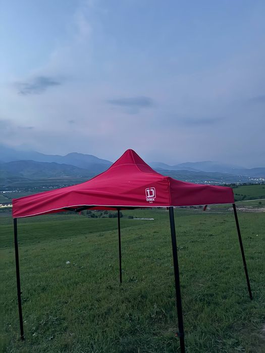 Dima zo’ntik orginal