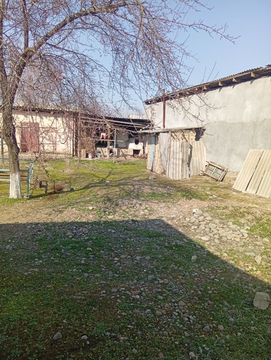 Ер сотилади сайхун центирда сотихи 2000₽