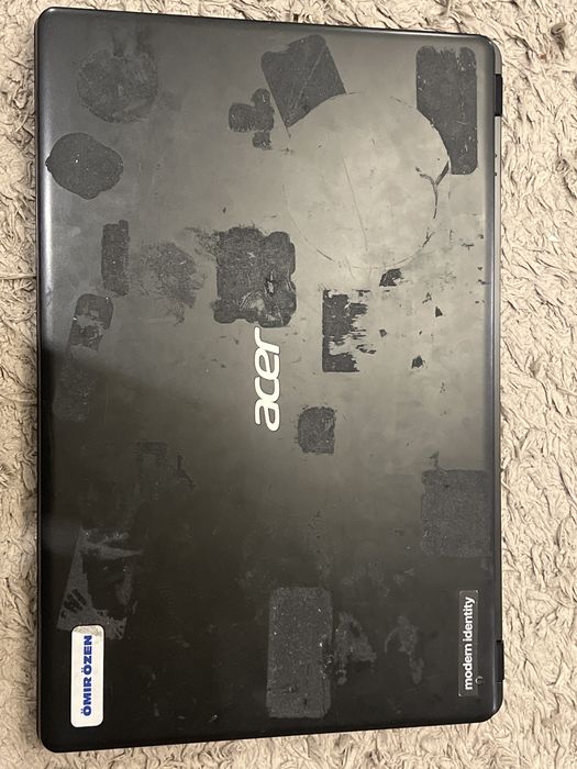Acer extensa 215
